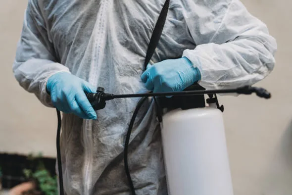 Disinfezione guano di piccioni