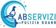 ABServizi - Pulizia guano di piccioni