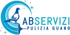 ABServizi - Pulizia guano piccioni